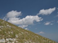 2019-07-06 P. Borghese e Porche 415